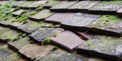 Llanbadrig roof repair costs